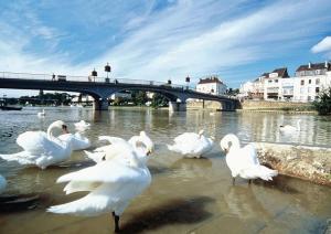 Bright apartment Disneyland Paris Wi-Fi