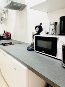 Bright apartment Disneyland Paris Wi-Fi