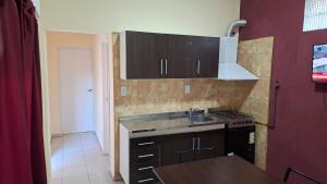 Departamentos céntricos con parrilla