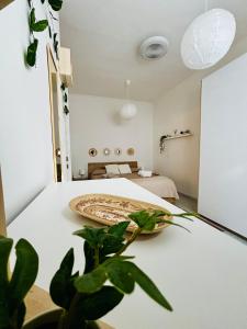 Alloggio Turistico in Via Zotti