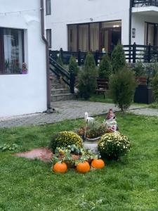 Casa Maria Moieciu de Sus