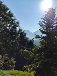 Apartamento Rústico Industrial nos Altos de Albuquerque