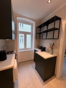 Residence K - Cozy Altbau Apartment Vienna