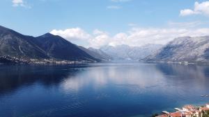 Apartments Zora, Sea View Balcony, Free Parking in Dobrota Kotor