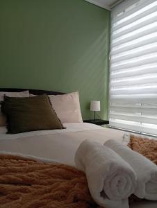 Park and Movistar Arenas D106