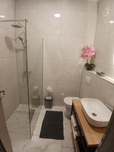 Apartman Lasko 1
