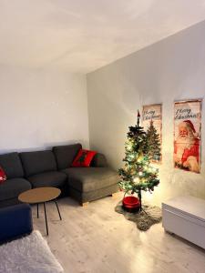 Rovaniemi Aurora Apartment