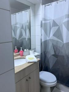 Departamentos Santiagos centro #10