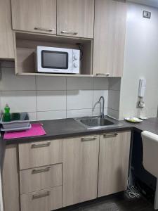 Departamentos Santiagos centro #10