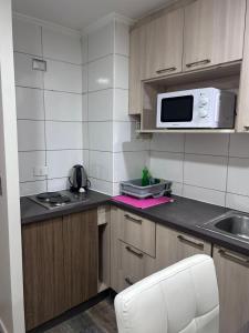 Departamentos Santiagos centro #10