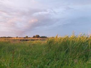 Seaside Sanctuary with Whirlpool-By Traum