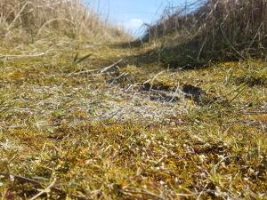 Seaside Sanctuary with Whirlpool-By Traum