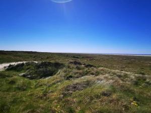 6 person holiday home in Fanø