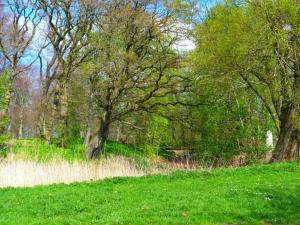 5 person holiday home in Højer-By Traum