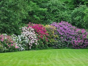 5 person holiday home in Højer-By Traum