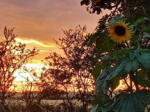 5 person holiday home in Højer-By Traum