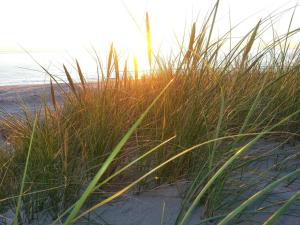 6 person holiday home in Hirtshals-By Traum