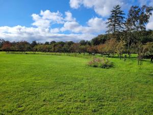 8 person holiday home in Sæby-By Traum