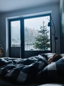 Apartmán Dole v Dole