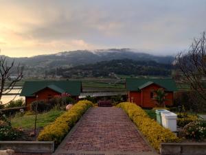 Villa Angela Glamping & Tiny Houses