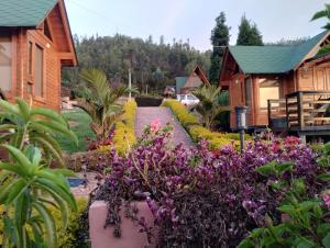 Villa Angela Glamping & Tiny Houses