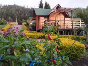 Villa Angela Glamping & Tiny Houses