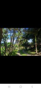 kitnet em Florianópolis