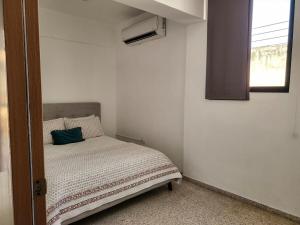 Apartment in Zona Colonial