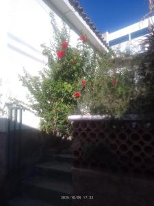 Warm and cozy housing in Obrajes - La Paz