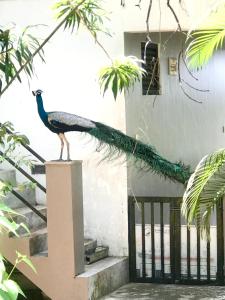 Friends place