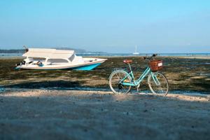 Vance 1 BR Superior With Garden View ZN303