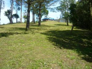 Apartamentos Playa La Franca