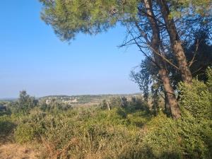 Appartement climatisé entre mer et montagne