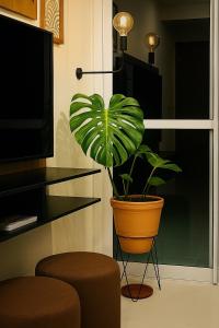 1 quarto vista mar 180 graus