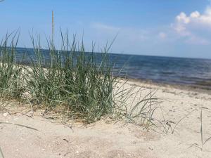 Spacious Holiday Home With Views Over Limfjorden