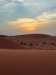 Bedouin Stars