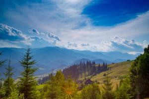 Велика Дзен Хата