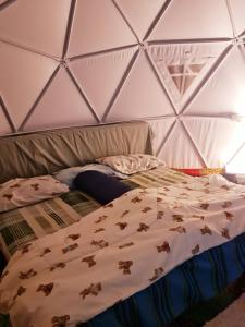 Dome Treehouses for family 2 adults 2 kids