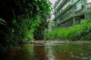 River View Stay