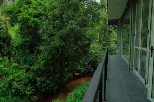 River View Stay