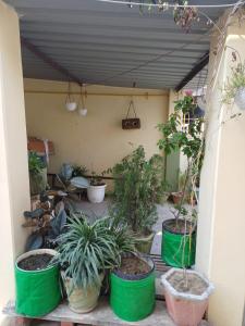 Hanumat Kripa Guest House