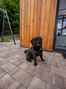 Domek nad Piwniczną