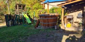 Casa de Vacanta Șușara