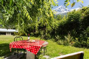 Appartements Les Pelerins Apartment - Chamonix All Year : photos des chambres