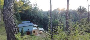 Astitva Binsar