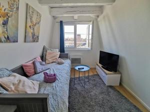 ** appartement cathédrale Strasbourg centre**
