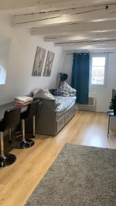 ** appartement cathédrale Strasbourg centre**