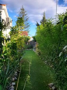 Très BEAU BUNGALOW,JARDIN TROPICAL, RENOVATION ETE 2020