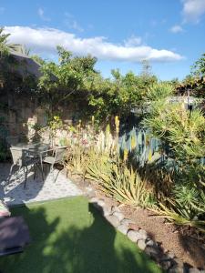 Très BEAU BUNGALOW,JARDIN TROPICAL, RENOVATION ETE 2020