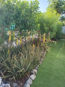 Très BEAU BUNGALOW,JARDIN TROPICAL, RENOVATION ETE 2020